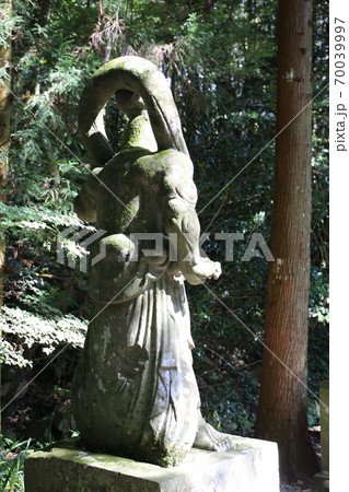 大分県国東半島 70039997
