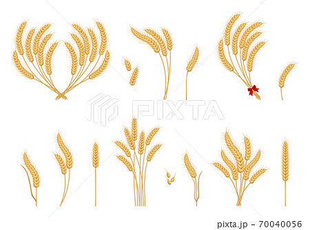 Wheat ears icons 70040056
