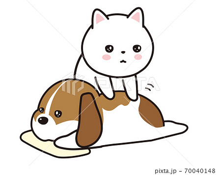 犬の整体 70040148
