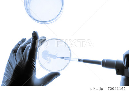 Chemical research in Petri dishes on white background. Experiment in a science laboratory. 70041162
