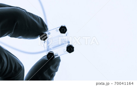 Organ on chip OOC and lab on chip LOC - microfluidic device chip that simulates biological organs and laboratory device . Prototype of design lab-on-a-chip LOC in microfluidic laboratory Organ on chip OOC and lab on chip LOC - microfluidic device chip that simulates biological organs and laboratory device . Prototype of design lab-on-a-chip LOC in microfluidic laboratory 70041164