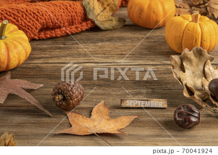 autumn template for September with dried leaves on wooden background autumn template for September with dried leaves on wooden background 70041924
