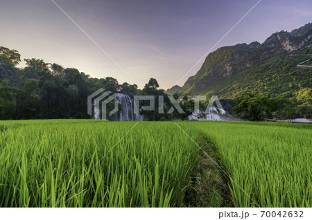 Ban Gioc - Detian waterfall in Cao Bang, Vietnam 70042632