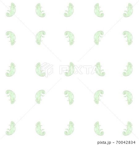 カメレオンの総柄 カメレオンの総柄 70042834