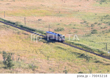 釧路湿原を走る釧網本線の気動車 釧路湿原を走る釧網本線の気動車 70043218