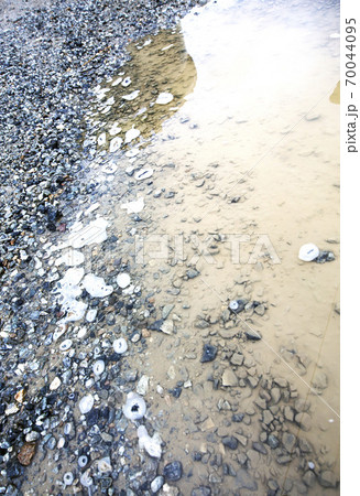 石 砂利 湿地 70044095