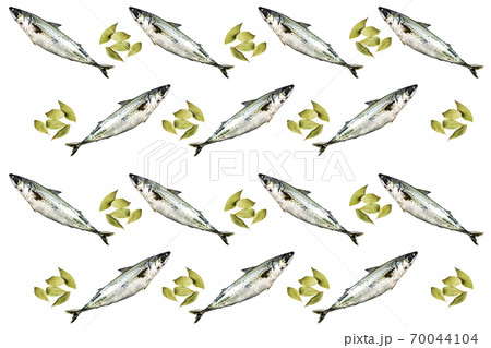 White background with sea bass and laurel. Food concept 70044104