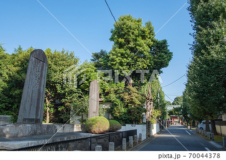 都市風景 練馬大根碑と愛染院の銀杏並木の参道 東京都練馬区春日町 都市風景 練馬大根碑と愛染院の銀杏並木の参道 東京都練馬区春日町 70044378