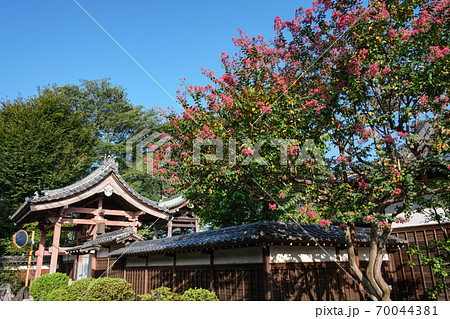 寺社仏閣の風景 愛染院 東京都練馬区 寺社仏閣の風景 愛染院 東京都練馬区 70044381