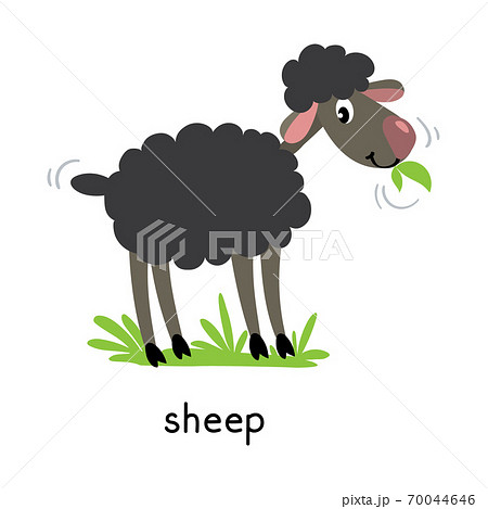 Funny sheep vector illustration. Farm animals Funny sheep vector illustration. Farm animals 70044646