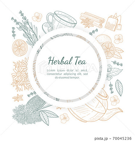 Herbal Tea Banner Template With Space For Text のイラスト素材