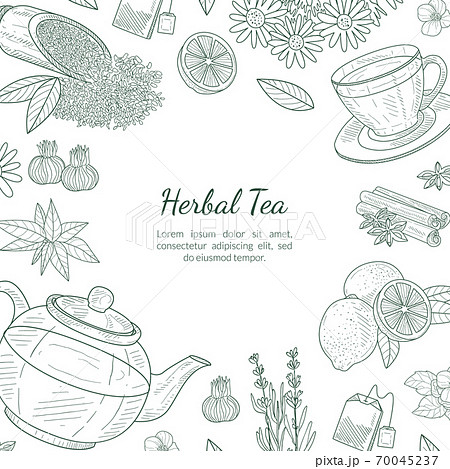 Herbal Tea Banner Template, Cafe, Restaurant Menu or Tea Shop Design Hand Drawn Vector Illustration Herbal Tea Banner Template, Cafe, Restaurant Menu or Tea Shop Design Hand Drawn Vector Illustration 70045237