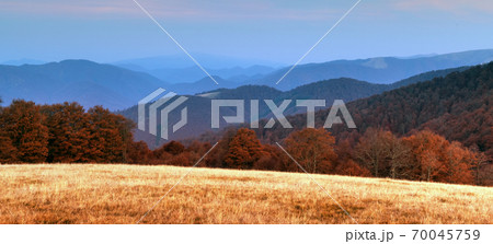 Picturesque autumn mountains with red beech forest 70045759