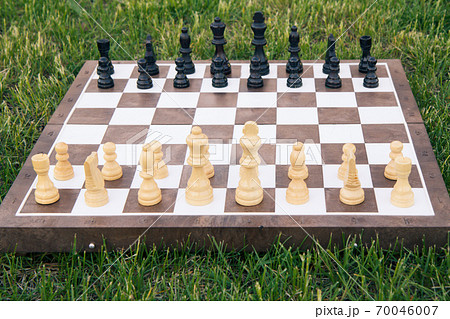 Chess board with chess pieces on green grass 70046007