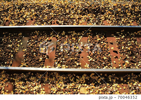 イチョウの落葉と線路 70046352