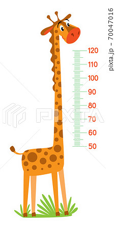 Giraffe Meter Wall Or Height Chart Or Wall Stickerのイラスト素材