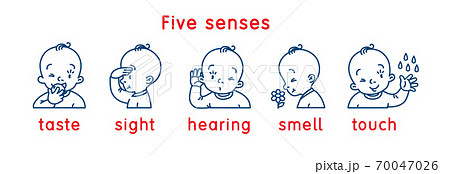 Five senses icon. Touch, taste hearing sight smell 70047026