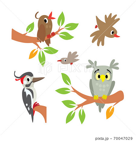 Birds. Illustration set, Owl, woodpecker and other Birds. Illustration set, Owl, woodpecker and other 70047029
