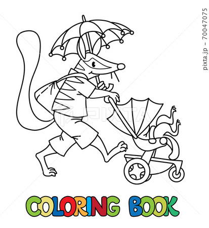 Numbat Nanny Abc Coloring Book Alphabet Nのイラスト素材 Numbat Nanny Abc Coloring Book Alphabet Nのイラスト素材