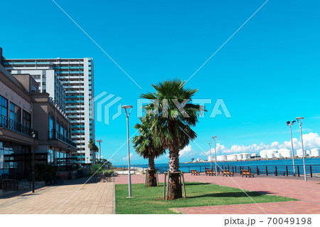 南国風の千葉みなと桟橋（旅客船ターミナル）周辺風景 70049198