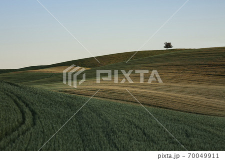 The lines of nature 70049911