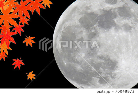 背景素材 秋イメージ 紅葉とスーパームーン コピースペースのイラスト素材