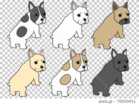 6色法國鬥牛犬 70050451