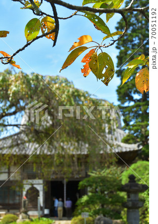 秩父散歩:三十三番札所 延命山・菊水寺 曹洞宗 秩父散歩:三十三番札所 延命山・菊水寺 曹洞宗 70051192