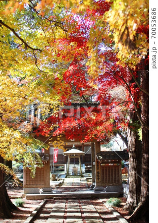 紅葉に彩られる山門　福性寺 70053686