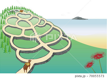牛くんと棚田1 ヒガンバナのイラスト素材
