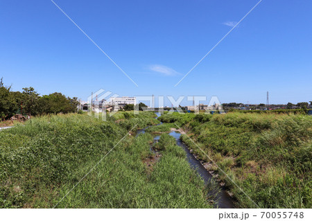 玉川(神奈川県厚木市愛甲) 玉川(神奈川県厚木市愛甲) 70055748