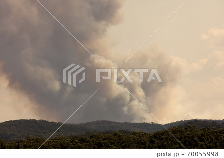 Bush fire smoke in a valley in The Blue Mountains in Australia Bush fire smoke in a valley in The Blue Mountains in Australia 70055998