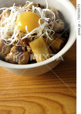 炭火で焼いた焼き鳥の上に白髪葱と卵黄を乗せた熱々の丼ぶり 炭火で焼いた焼き鳥の上に白髪葱と卵黄を乗せた熱々の丼ぶり 70056075