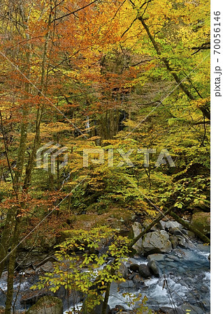 塩原スッカン沢の渓流と素簾の滝に紅葉の森 70056146