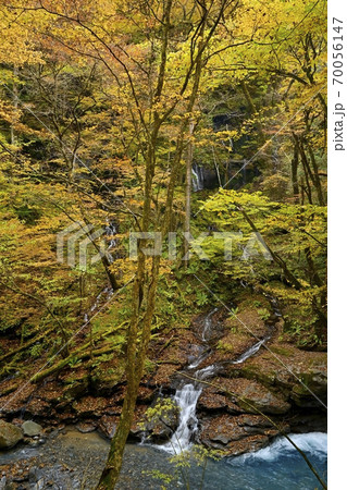 塩原スッカン沢の渓流と素簾の滝に紅葉の森 70056147