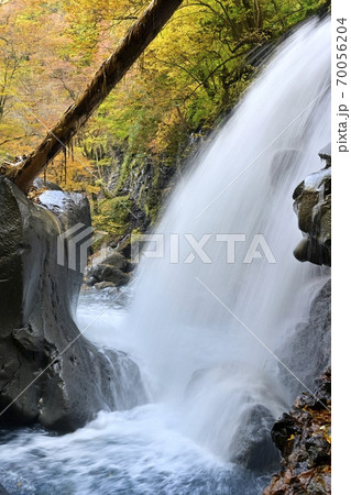 塩原スッカン沢の仁三郎の滝に紅葉の森 70056204