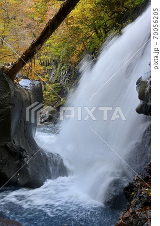 塩原スッカン沢の仁三郎の滝に紅葉の森 70056205