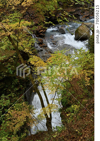 塩原スッカン沢の雄飛の滝に紅葉の森 70056215