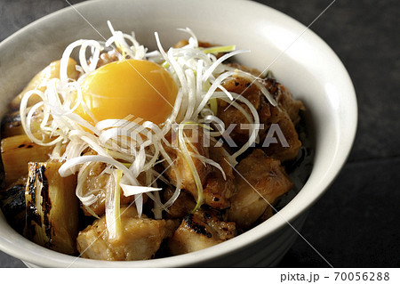 炭火で焼いた焼き鳥の上に白髪葱と卵黄を乗せた熱々の丼ぶり 炭火で焼いた焼き鳥の上に白髪葱と卵黄を乗せた熱々の丼ぶり 70056288