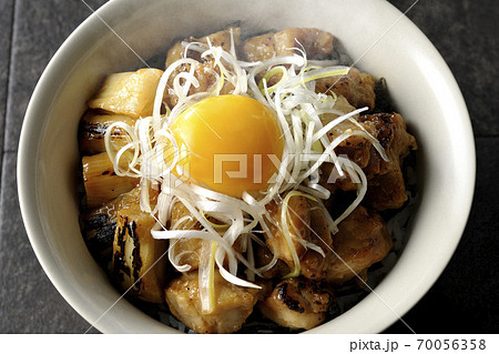 炭火で焼いた焼き鳥の上に白髪葱と卵黄を乗せた熱々の丼ぶり（俯瞰） 70056358