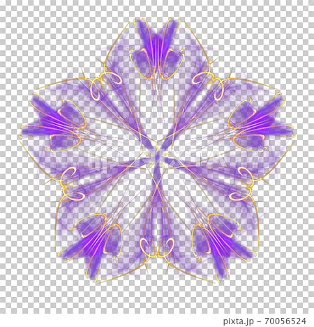 美しい五角形(背景透過PNG)　20201003_105-004 70056524