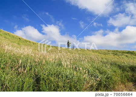 押戸石の丘 70056664