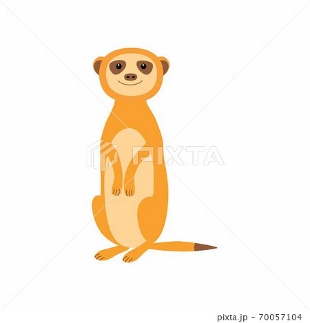 Cute meerkat. Vector illustration isolated on white background. Cute meerkat. Vector illustration isolated on white background. 70057104