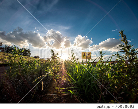 夕暮れの夏空と草原の風景 夕暮れの夏空と草原の風景 70058692