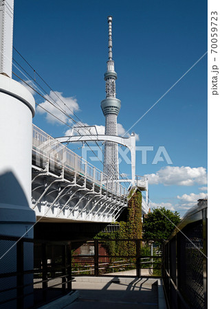すみだリバーウオークからの東京スカイツリー 70059723
