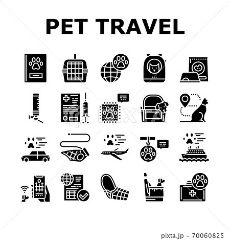 Pet Travel Equipment Collection Icons Set Vector Pet Travel Equipment Collection Icons Set Vector 70060825