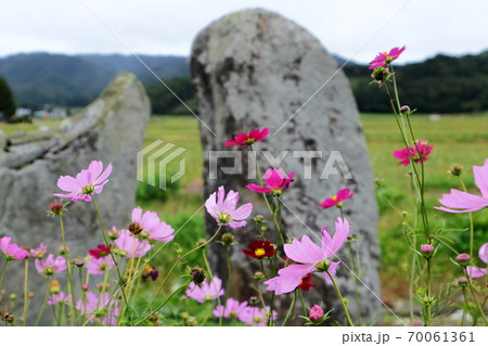 日本 遠野の風景 日本 遠野の風景 70061361