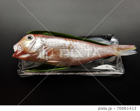 甘鯛とガラスのお皿 70061413