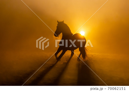 Big horse in smokey setting Big horse in smokey setting 70062151