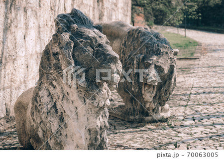 Statue of lions. Symbol of the city of Brescia 70063005